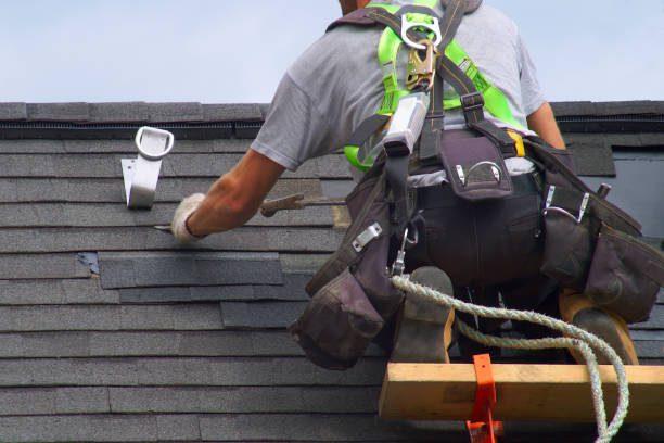 Best Roof Gutter Cleaning  in La Porte, TX